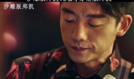 好友爆料郑凯视频播放,好友爆料背后的真相揭秘