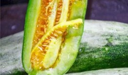 全国网红吃瓜网站有哪些