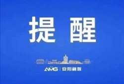 今天的爆料新闻,今日爆料新闻背后的惊人真相