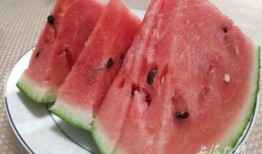 全国网红吃瓜网站有哪些