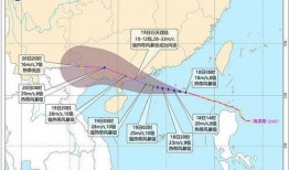 阳江今日爆料最新消息