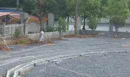 邵阳爆料最新消息