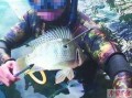 鱼爆料的视频大全最新,揭秘娱乐圈幕后真相