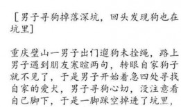 新闻爆料段子怎么写,一场舆论的风暴