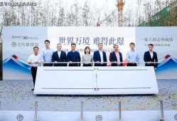 中转盘最新爆料的升级枪,揭秘全新枪械的神秘面纱