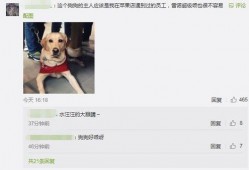 武汉王先生最新爆料视频,揭秘事件背后惊人真相