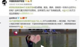 圈内人士爆料金子涵背景,圈内人士曝惊人内幕