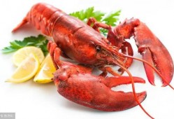 龙虾最新爆料新闻,揭秘幕后真相，行业乱象再引关注