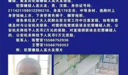 乌克兰爆料造假新闻事件,真相与谎言的较量
