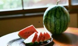 西瓜食堂爆料视频大全集,揭秘校园美食风云录