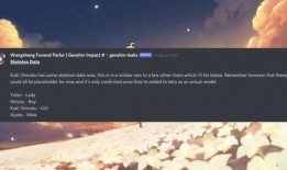 原神最新消息爆料夜阑,原神新角色揭秘，神秘剑舞者即将登场