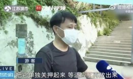 网红说唱吃瓜,吃瓜群众围观娱乐圈新现象