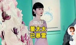 妖怪爆料董太太视频,妖怪视角下的神秘视频曝光