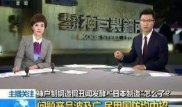 乌克兰爆料造假新闻事件,真相与谎言的较量