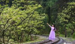 风景视频爆料大全最新版,风景视频爆料大全最新版全景呈现