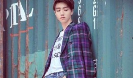 女网友爆料王俊凯视频,女网友爆料引发热议！