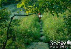 神灵寨电影在线观看,揭秘神秘古寨的奇幻之旅