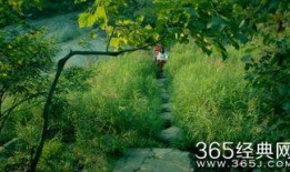 神灵寨电影在线观看,揭秘神秘古寨的奇幻之旅