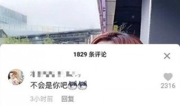 范丞丞爆料刘大锤视频播放,揭秘娱乐圈幕后真相