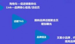 创作视频爆料,视频爆料背后的创作故事