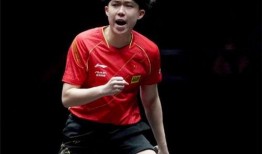 内部人爆料王楚钦陈梦视频,王楚钦陈梦私密视频曝光，真相揭秘