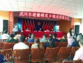 武冈新闻爆料最新视频网,视频揭露惊人内幕