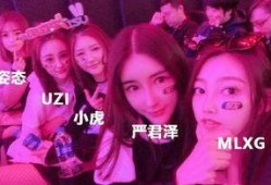 绿毛怒怼爆料者完整视频,揭秘完整视频背后的真相与冲突