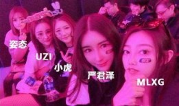 绿毛怒怼爆料者完整视频,揭秘完整视频背后的真相与冲突