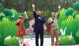 武汉王先生最新爆料视频,揭秘事件背后惊人真相