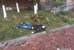 自贡跳楼最新爆料,细节披露，真相逐渐浮出水面