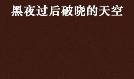 黑夜过后在线观看,探寻光明与希望的重生之旅