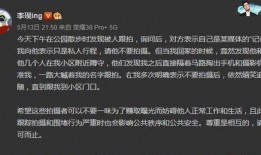 狗仔预告爆料视频下载,独家爆料背后的精彩瞬间