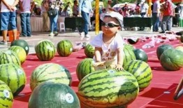 免费吃瓜大赛,免费吃瓜大赛狂欢来袭！