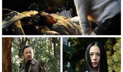 血腥电影在线观看,血腥电影在线观看指南