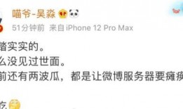 圈内人爆料废话语录,揭秘废话语录背后的惊人真相