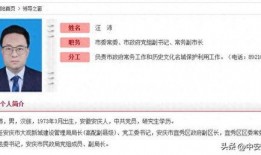 爆料大皖新闻,揭秘事件背后真相