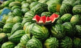 枣庄吃瓜网红事件真相,真相背后的网络风波