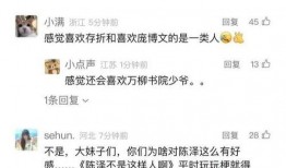 陈泽最新爆料视频在线观看,事件真相与幕后黑手全解析