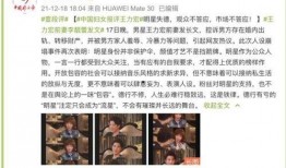 多人爆料王力宏事件视频,多视角揭秘，真相与争议交织