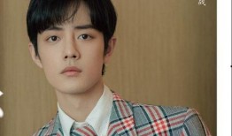 爆料肖战版权事件视频播放,真相与争议并存