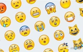 微信表情里的吃瓜表情是什么意思,网络社交中的趣味解读