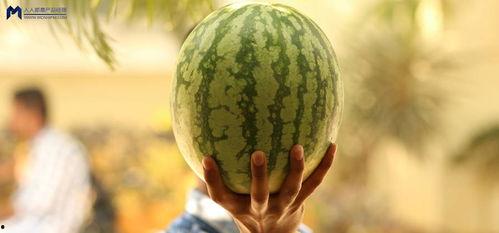 2021年娱乐圈吃瓜,瓜田李下，明星们的年度大揭秘