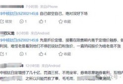 中核钛白最新爆料,揭秘行业变革与技术创新