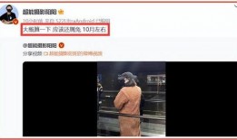狗仔爆料怀孕视频播放,怀孕视频曝光，明星喜讯引热议