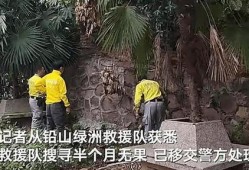 江西失踪最新爆料新闻,神秘线索浮出水面，真相即将揭晓