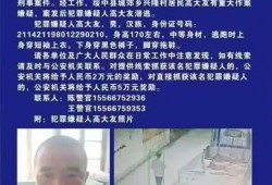 乌克兰爆料造假新闻事件,真相与谎言的较量