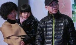冯小刚电影爆料视频,独家爆料视频深度解析