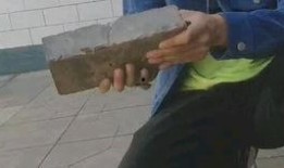 户外虎子被爆料视频造假,揭秘真相背后的疑云重重