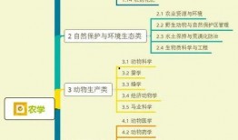 天涯爆料孙悦视频大全集,天涯爆料背后的精彩瞬间