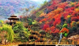 济南九如山爆料最新消息,揭秘济南神秘景区背后故事